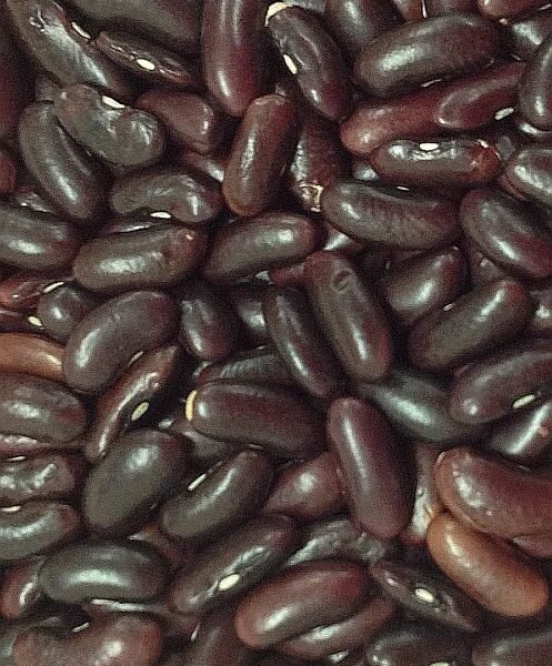 Red Lubia（Rajma) 1kg / 金時豆