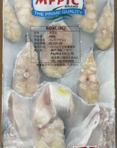 BOAL 500g BD / BD産 ボアル 500ｇ