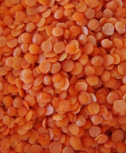 Mushri Split (Lentil) 1kg / レンズ豆皮むき半割