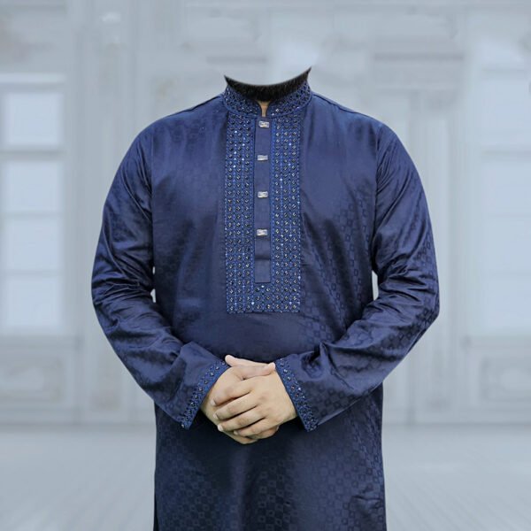 Navy Blue Color Punjabi
