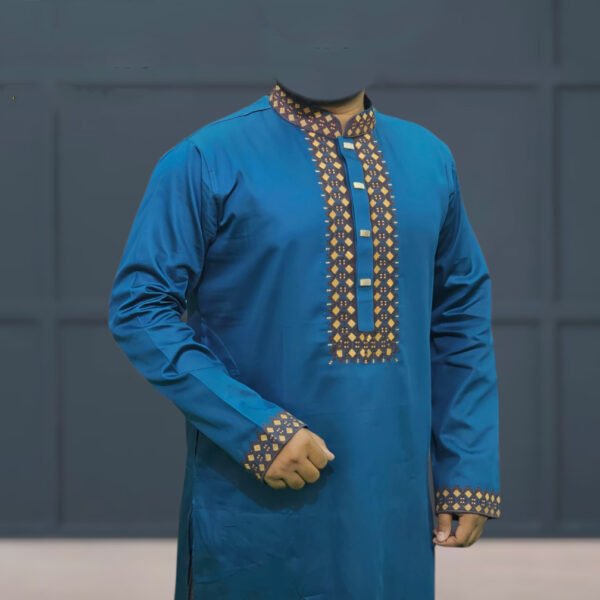 Turquoise Color Punjabi